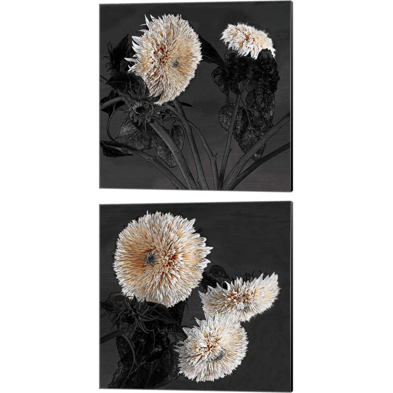 Sunflowers by Shelley Lake 14" x 14" Canvas Wall Art (Set of 2)